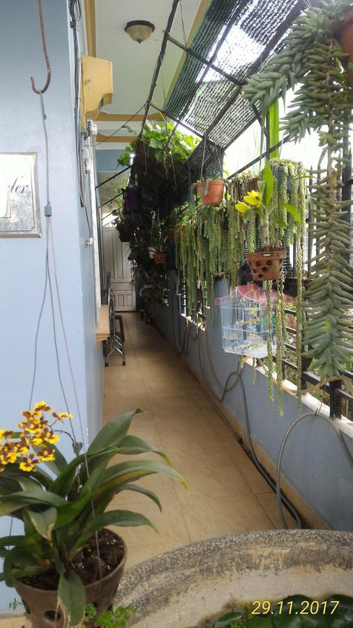 Homstay An Nhien Đà Lạt Exterior foto